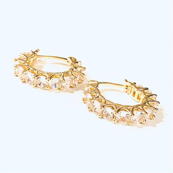 Rhinestone Hoop Earrings - Picture 1 of 3